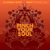 remix2集-Pinch Your Soul