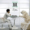 If You (Single Album)